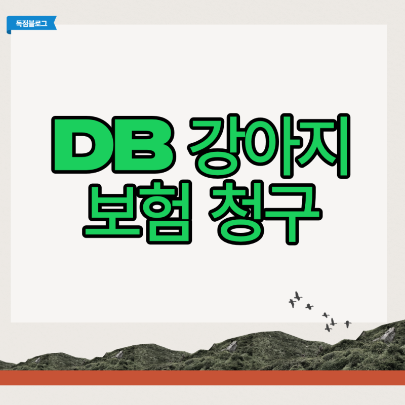 DB 강아지 보험 청구 서류 누락 없이 65만원 칼지급 받는 법