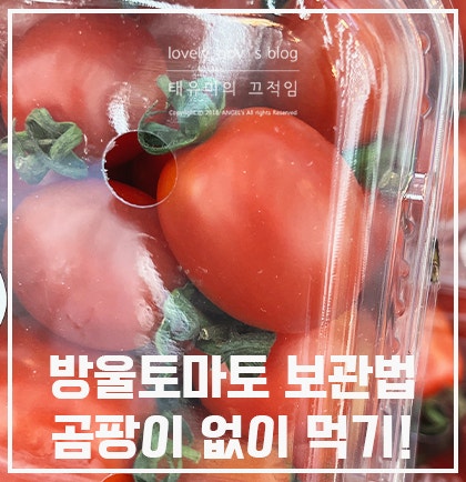 방울토마토 보관법 '이 것'만 알면 곰팡이 피지 않아요!