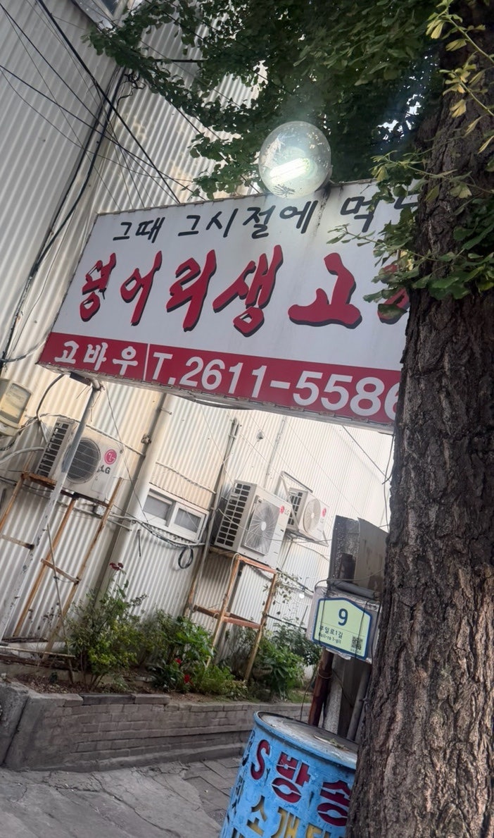 고바우 사진 1