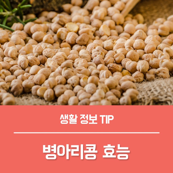 병아리콩 효능 4가지, 삶은 병아리콩 칼로리 부작용은?