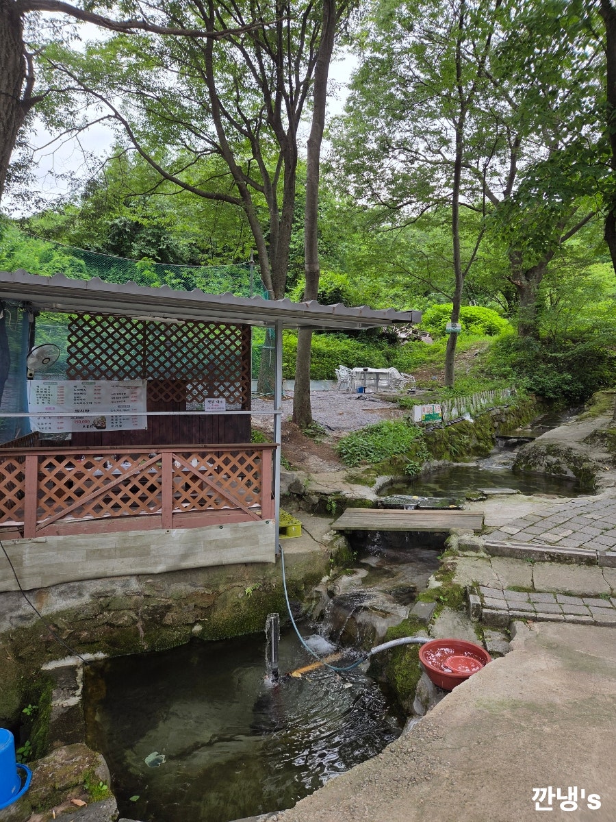 대장금 사진 5