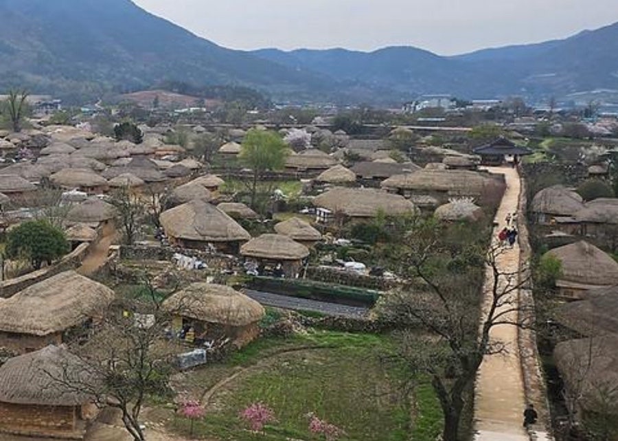장작불 사진 2