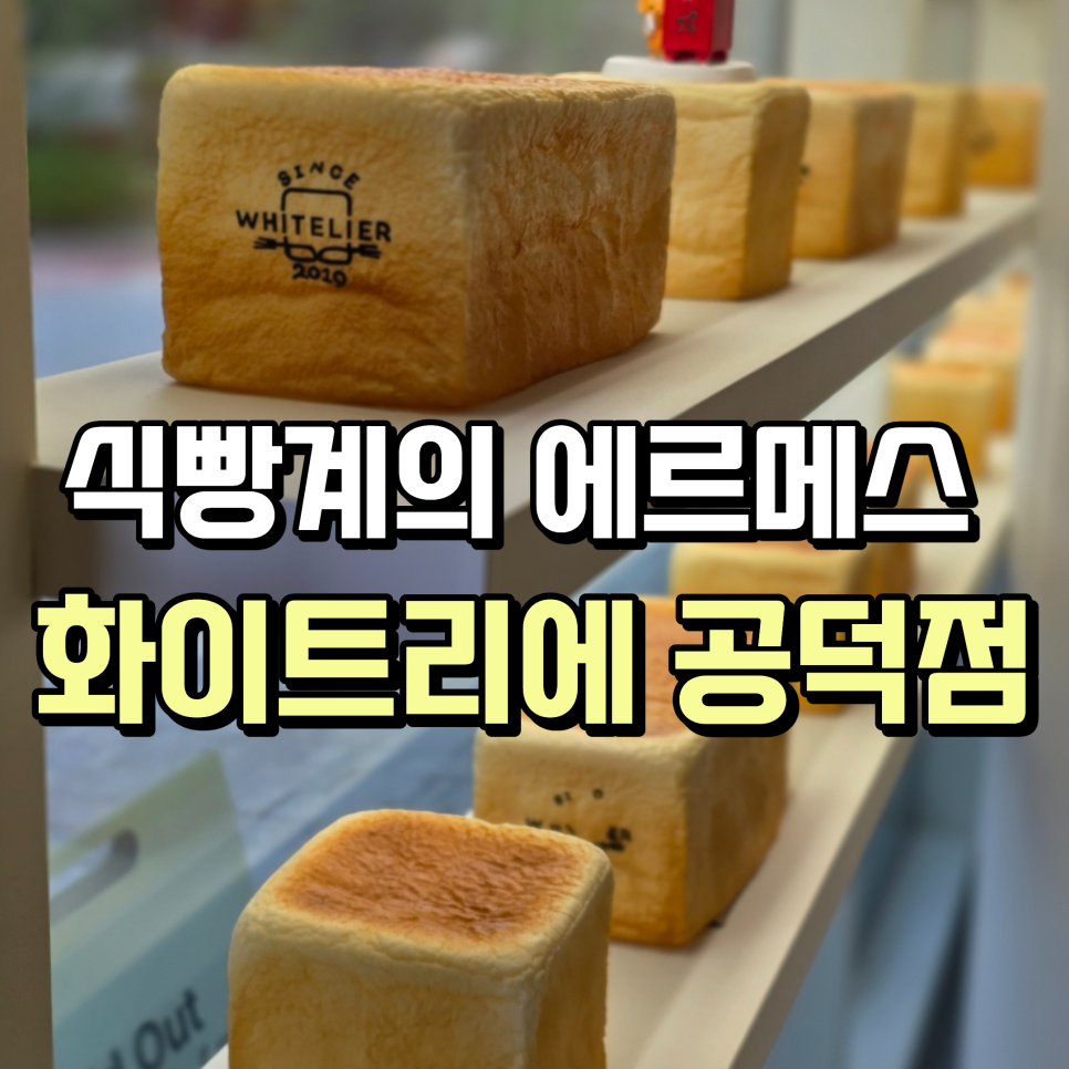 화이트리에 공덕점 사진 1