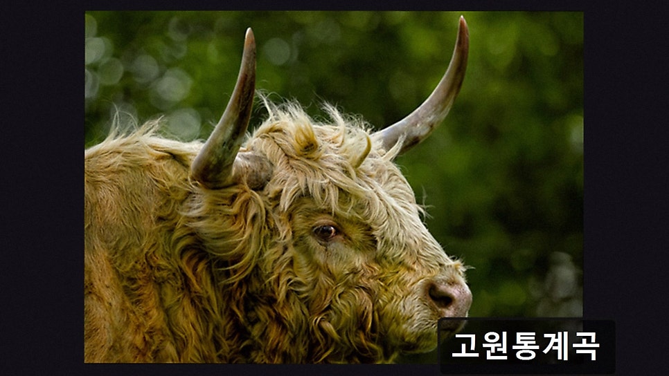 고원통계곡 사진 2
