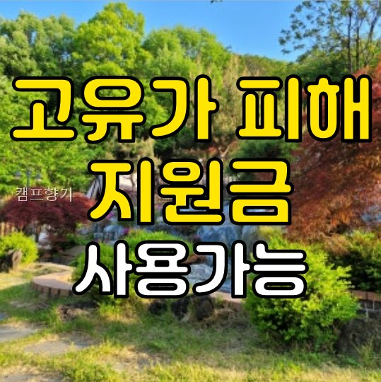 캠프향기 사진 2