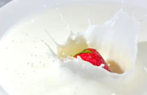 영덕회식당 사진 5