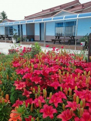 진이네펜션 사진 1