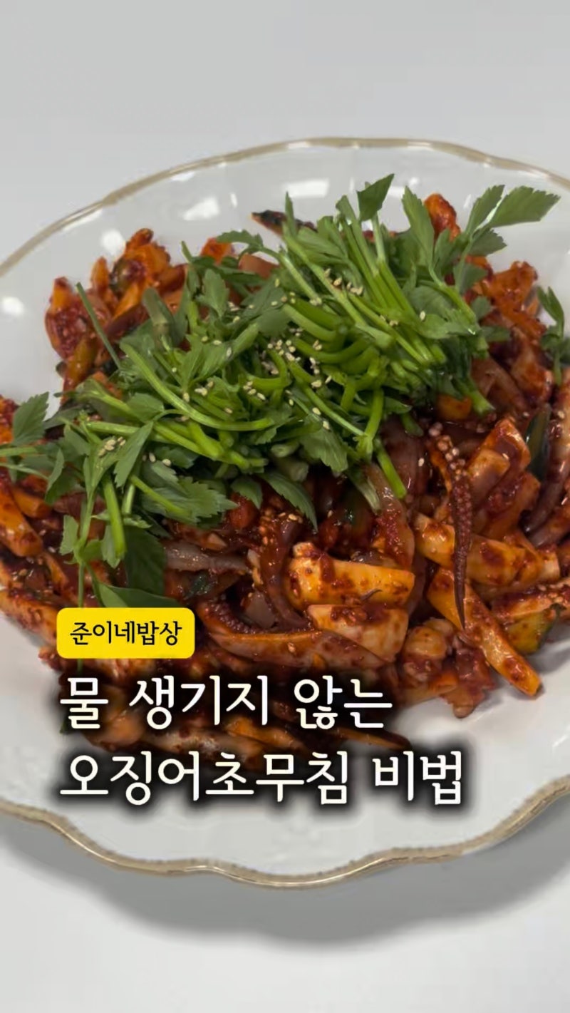 오징어무침 물 안생기는 비법 오징어초무침 만드는법 대공개