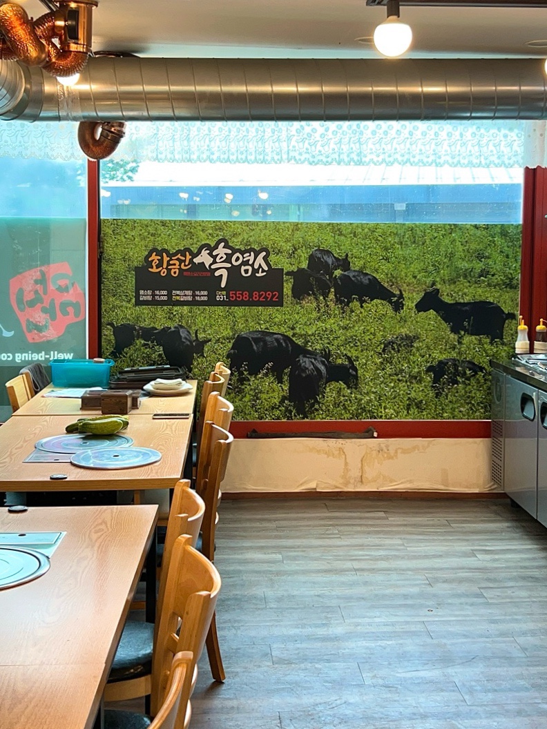 황금산흑염소 사진 6