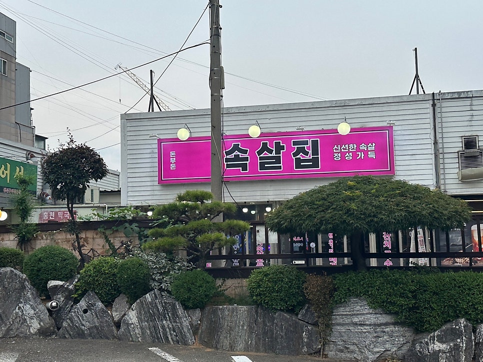 돈부돈 사진 2