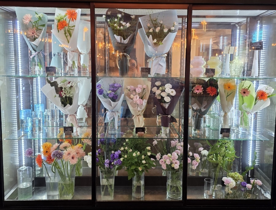 콜린 사진 5