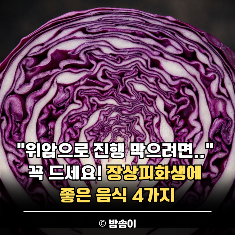 "위암으로 진행 막으려면.." 꼭 드세요! 장상피화생에 좋은 음식 4가지
