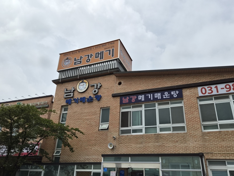 남강메기 사진 1