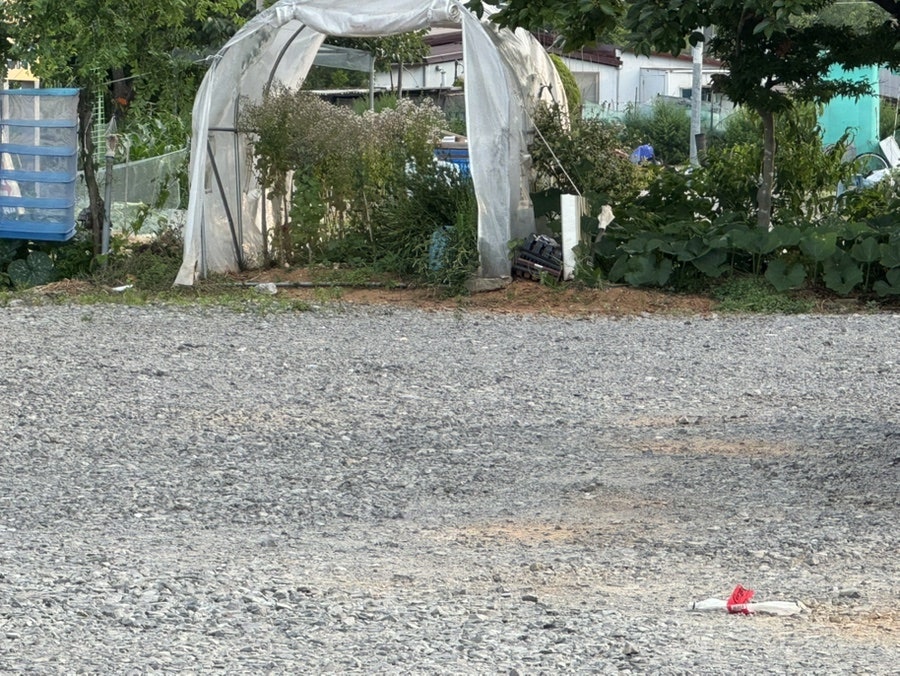 미소수산 사진 3