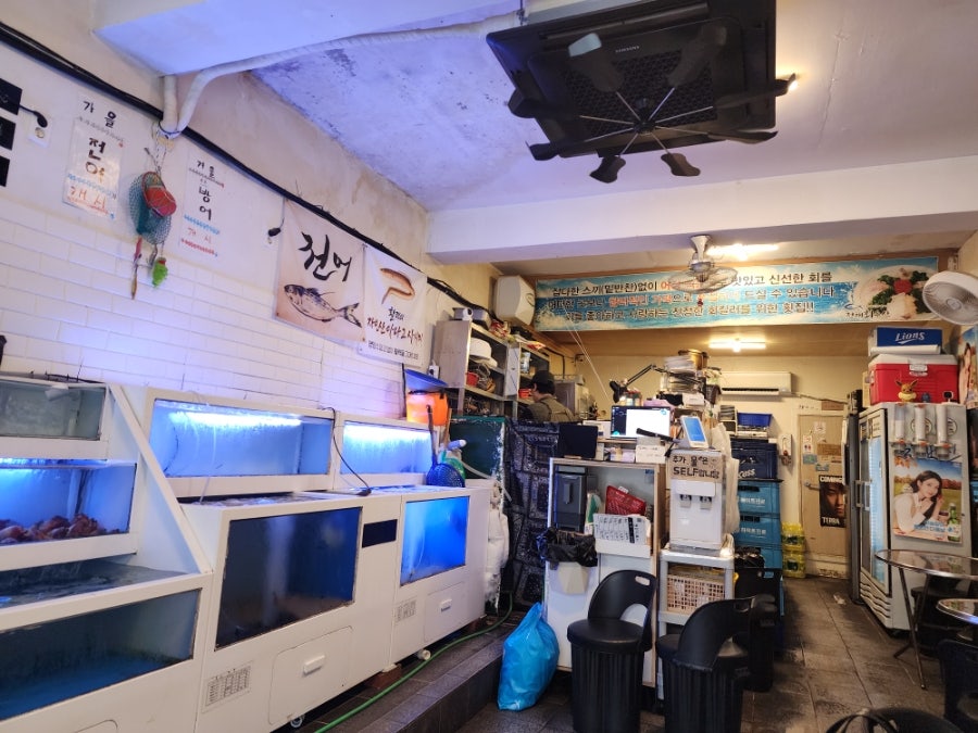 청해 사진 3