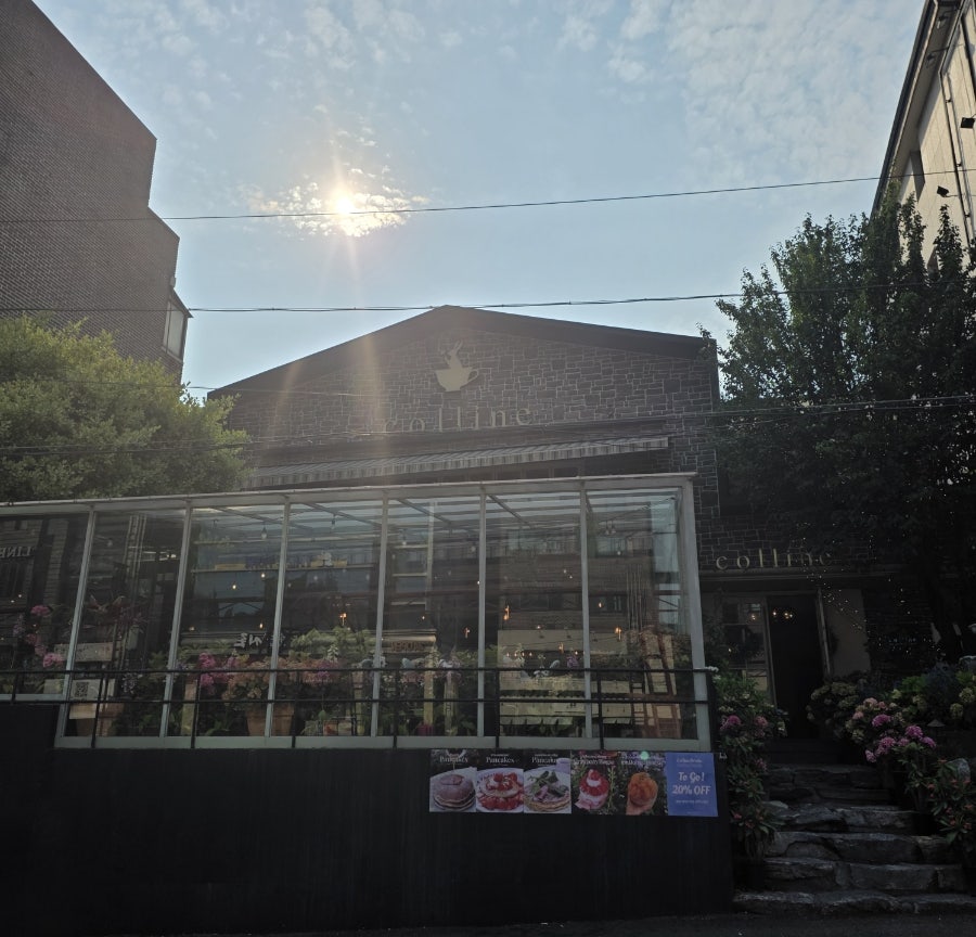콜린 사진 1