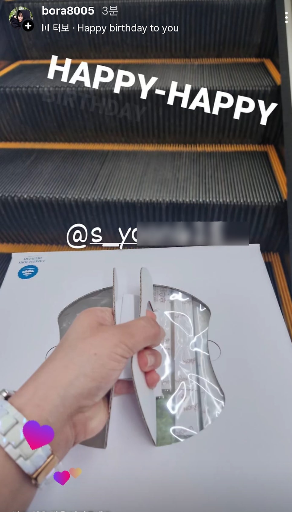 부일갈매기 사진 3