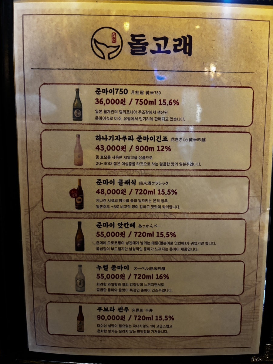 돌고래 사진 6