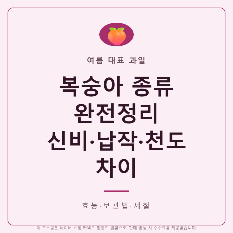 신비복숭아·납작복숭아·천도복숭아 차이, 복숭아 종류별 특징과 효능·보관법