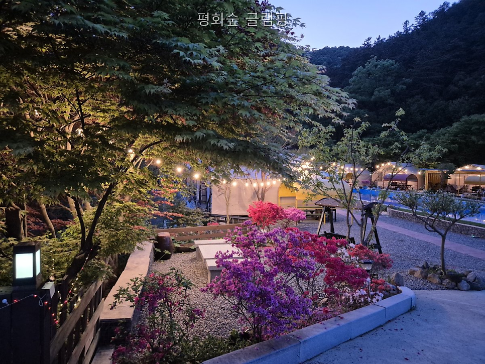 평화숲글램핑 사진 2