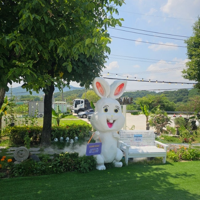 카페레이크249 사진 5