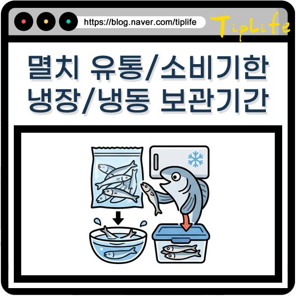 마른 멸치 볶음 유통기한 냉동 냉장 보관기간 소비기한 정리