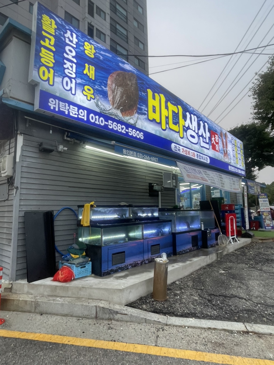바다생산 대광어 용인본점 사진 1