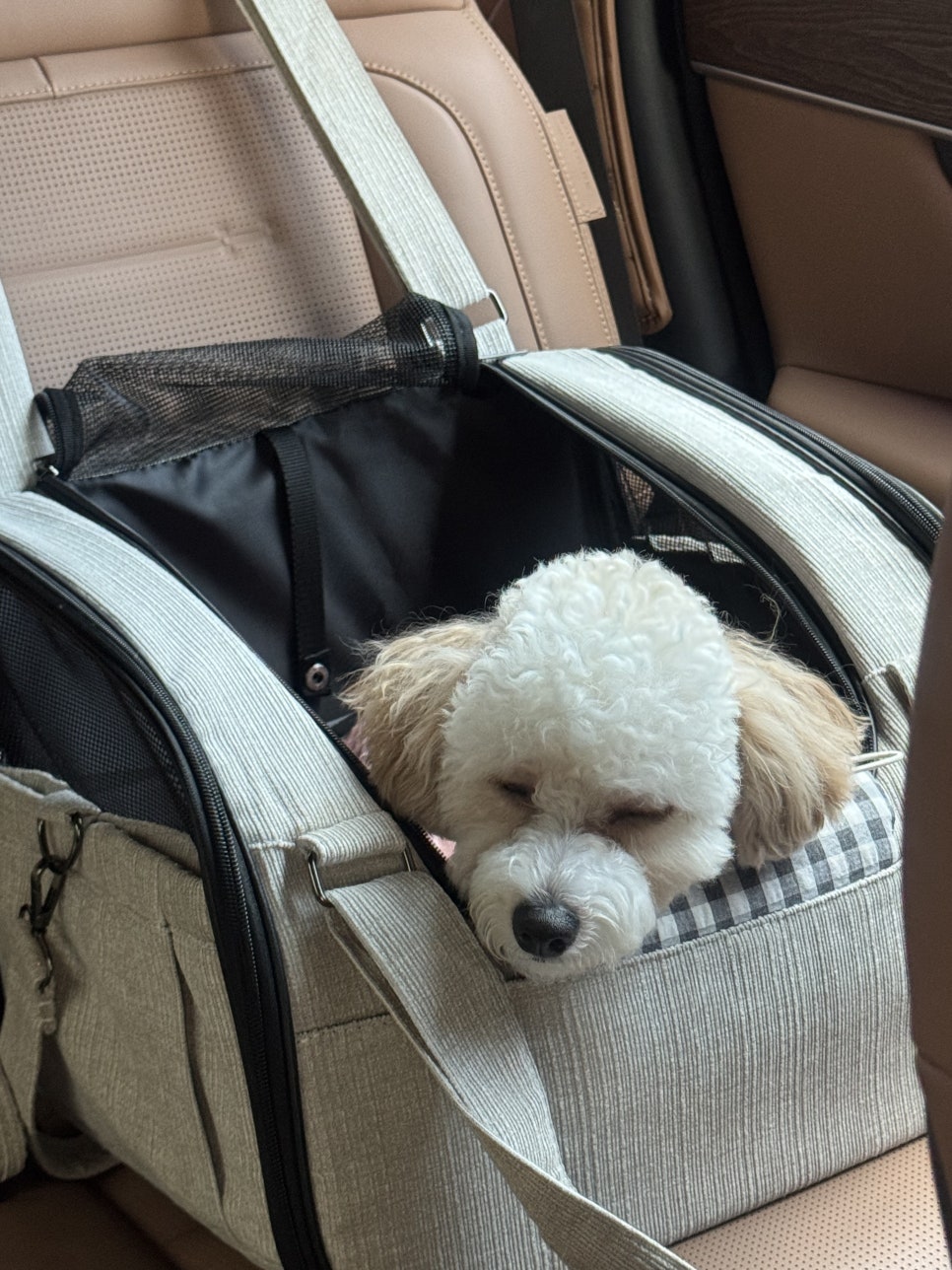 세교와르 사진 4
