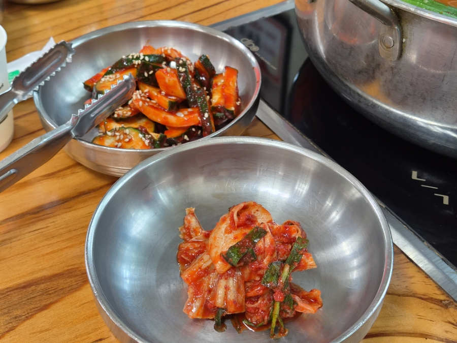 남강메기 사진 6