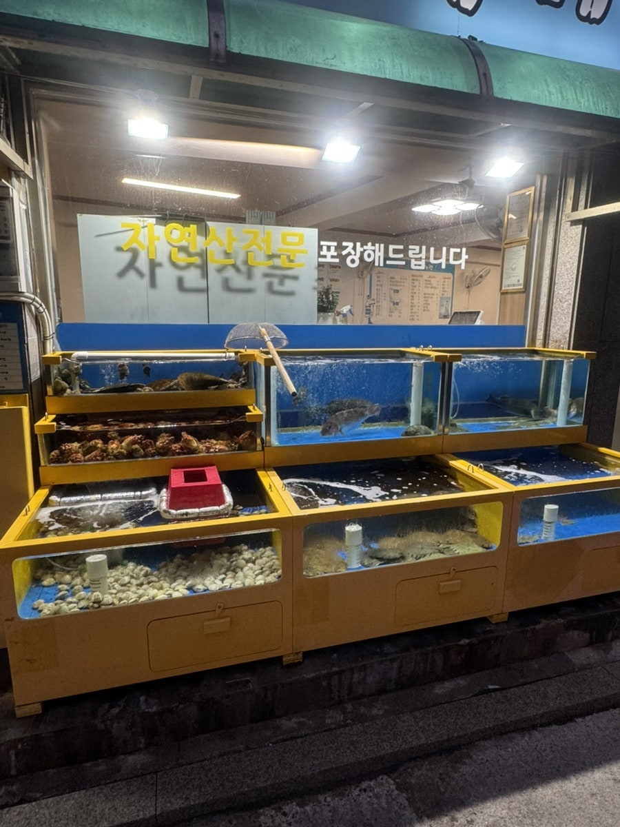 회맛집조개사랑 사진 3