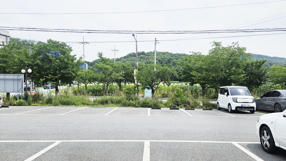 마시코 본점 사진 4