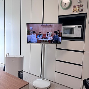 자취방 제습기 추천(LG 휘센 오브제컬렉션 15L,DQ154MWGA)