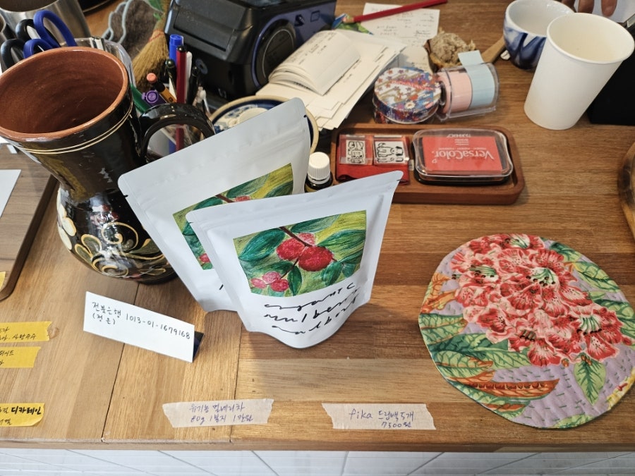 알보그 사진 5