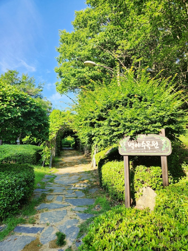 백야 자연휴양림 속 ~ 아기 자기 산책하기 좋은 백야 수목원