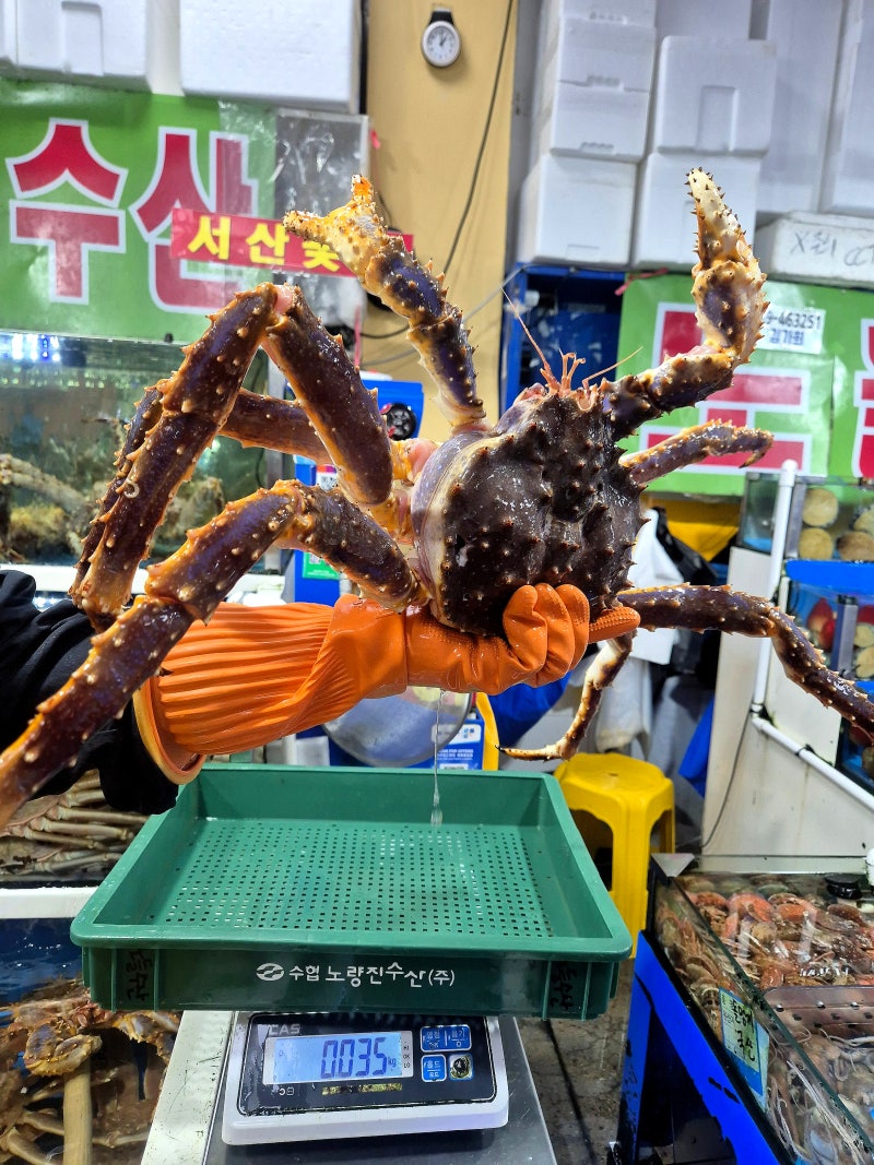 노량진수산시장 킹크랩 유명한곳 시세 손질 가격