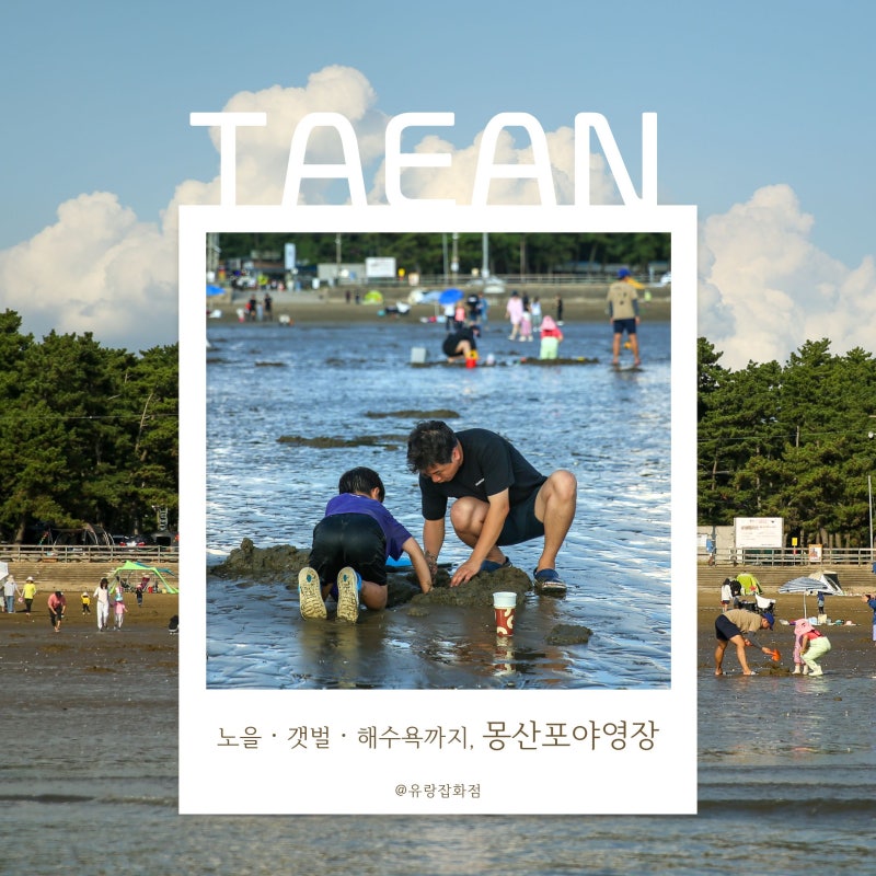 태안 몽산포야영장 Ⅰ 명당과 편의시설, 수산시장, 장단점까지 총정리