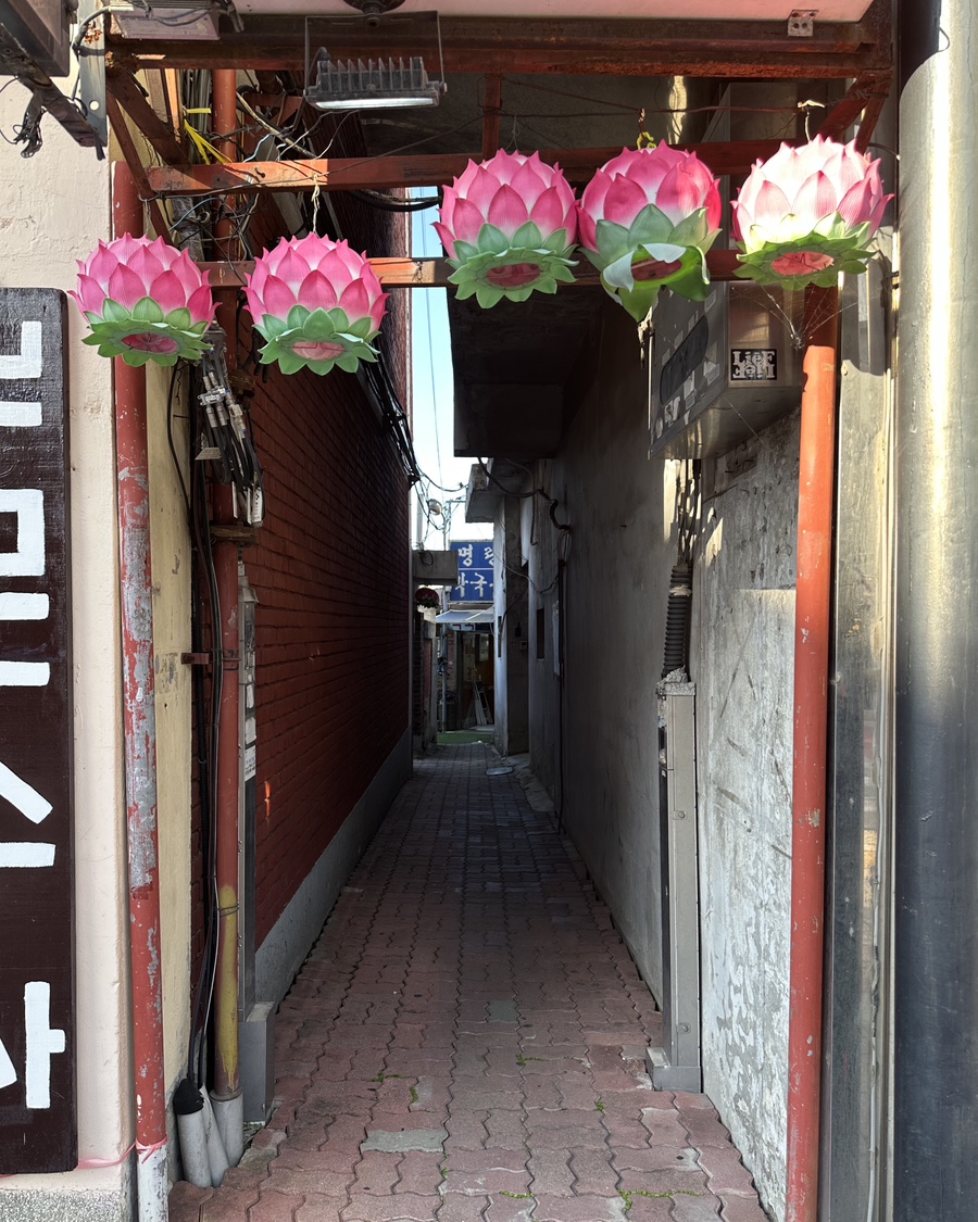 명랑막국수 사진 1