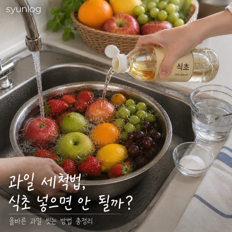과일 세척법, 식초 넣으면 안 될까? 올바른 과일 씻는 방법 총정리