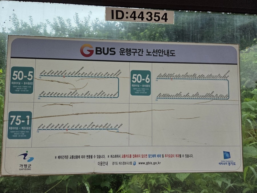 아침풍경 사진 4