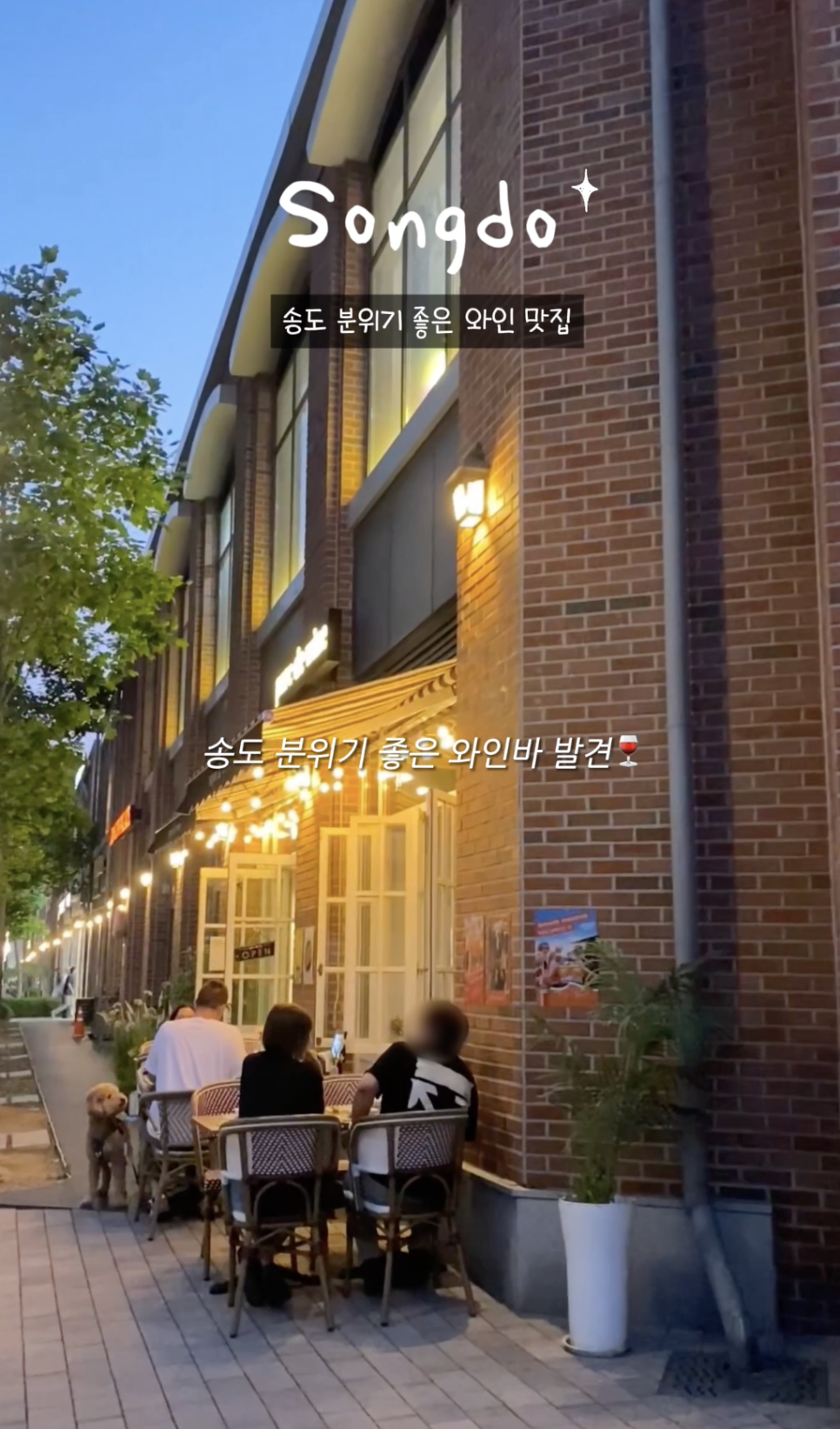 파르크드와인 사진 2