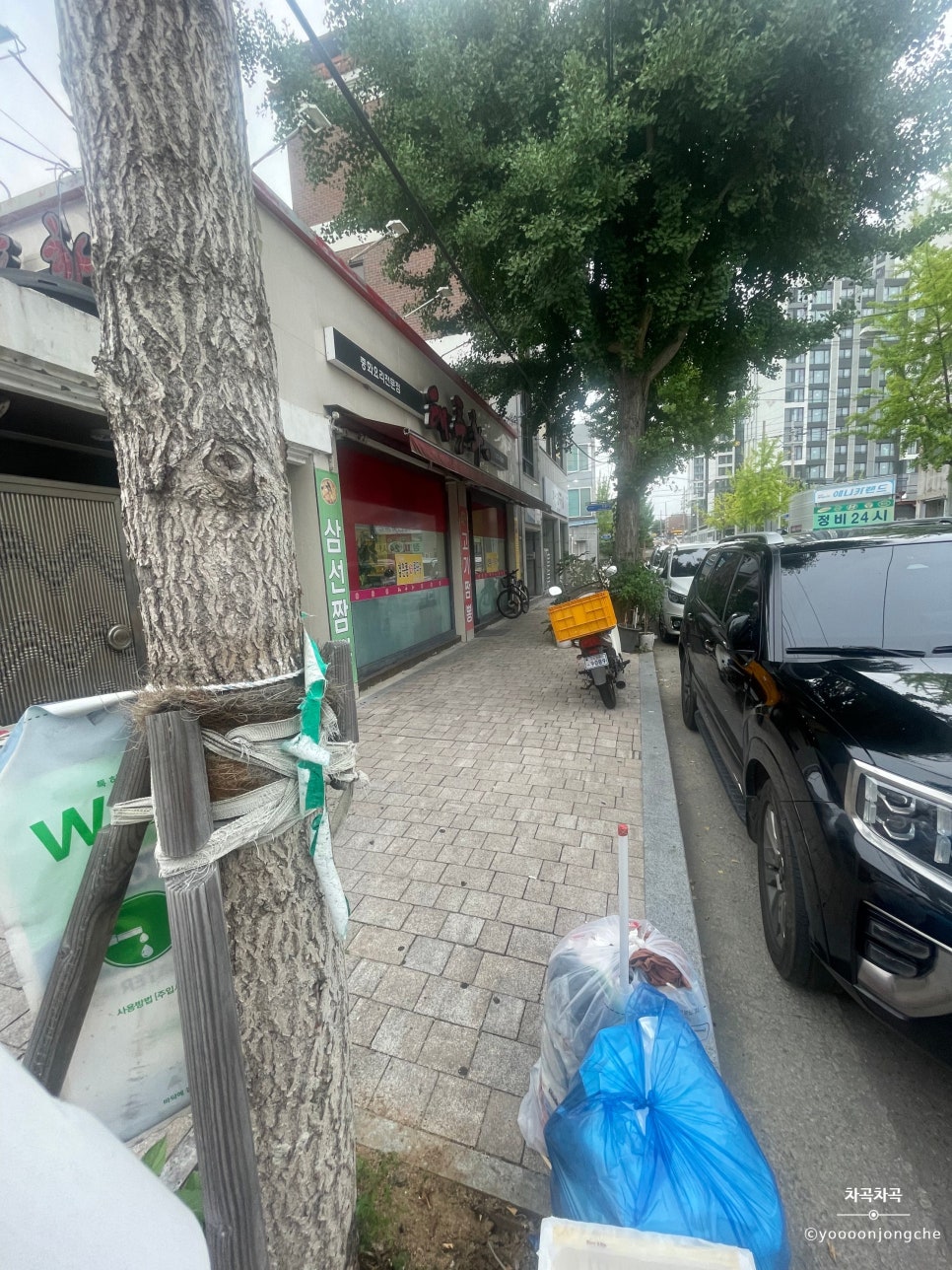 태풍화 사진 1