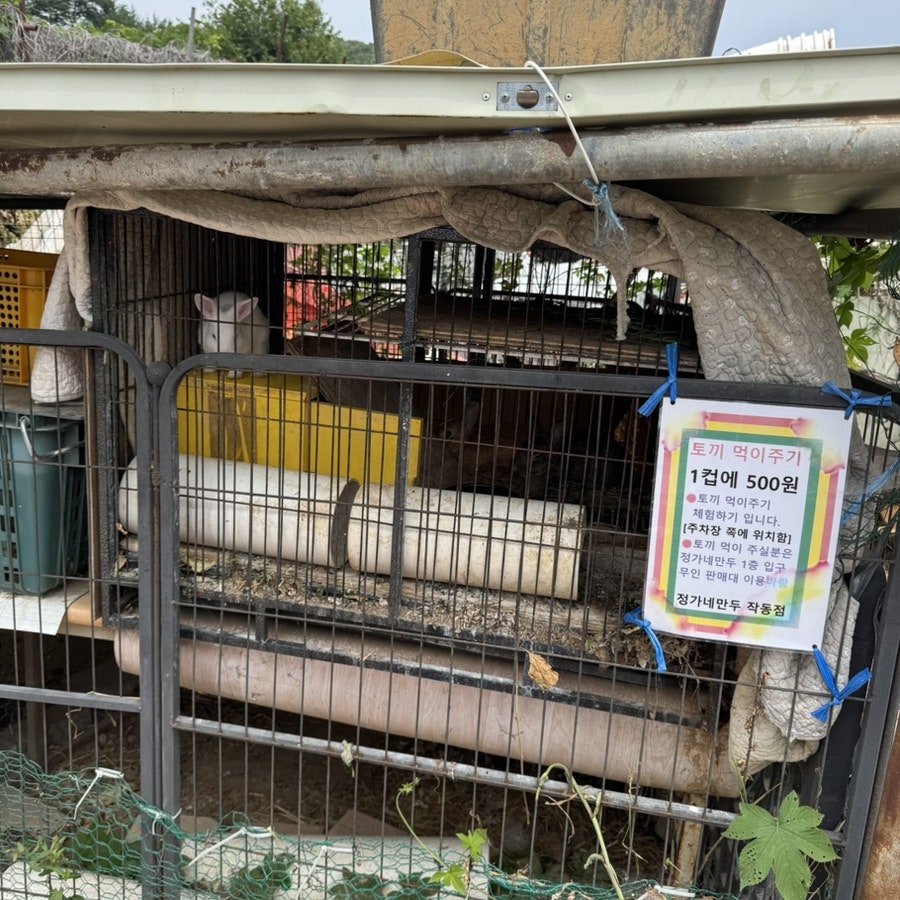 정가네만두샤브 사진 4