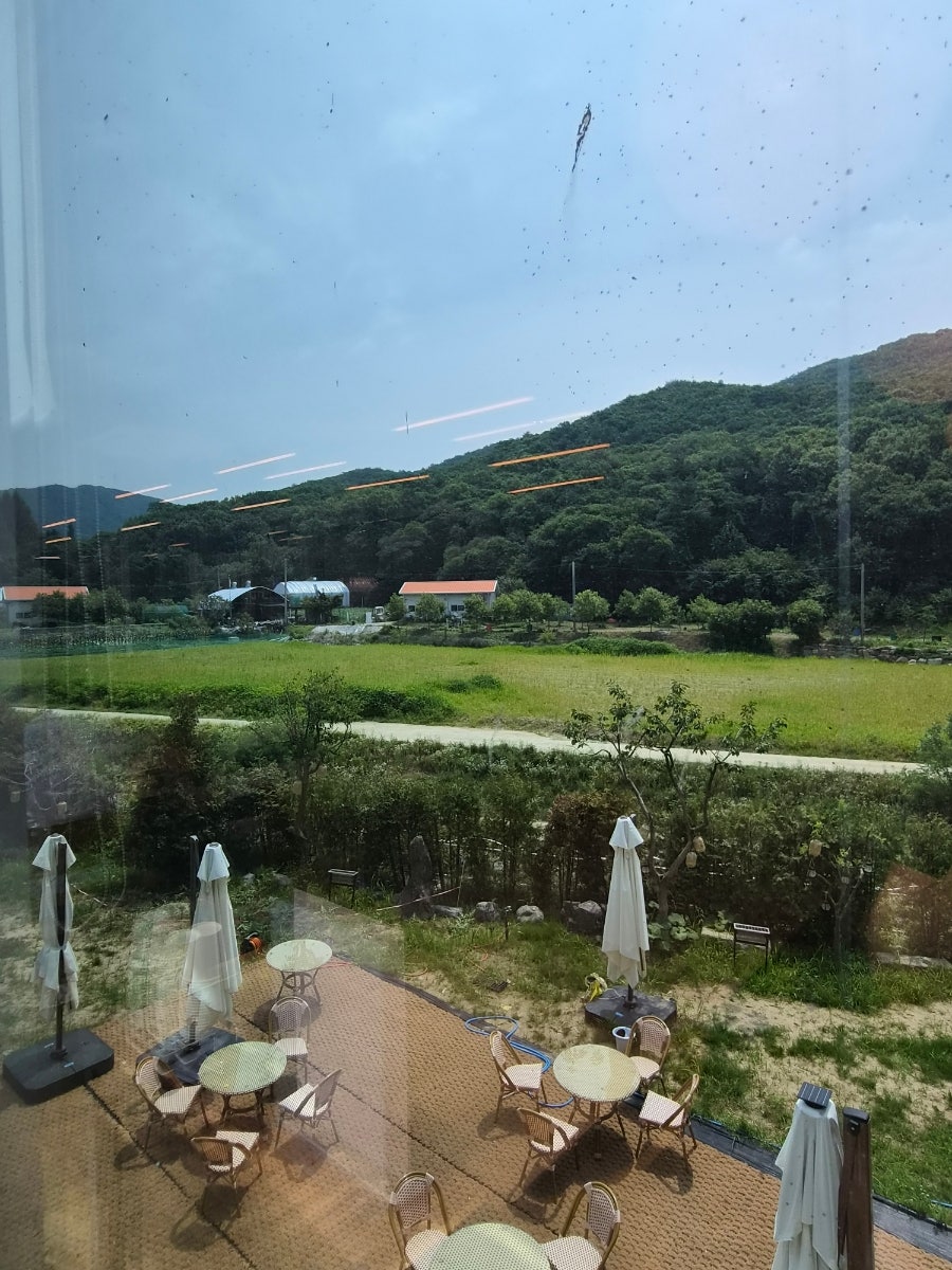 어화담호수 사진 5