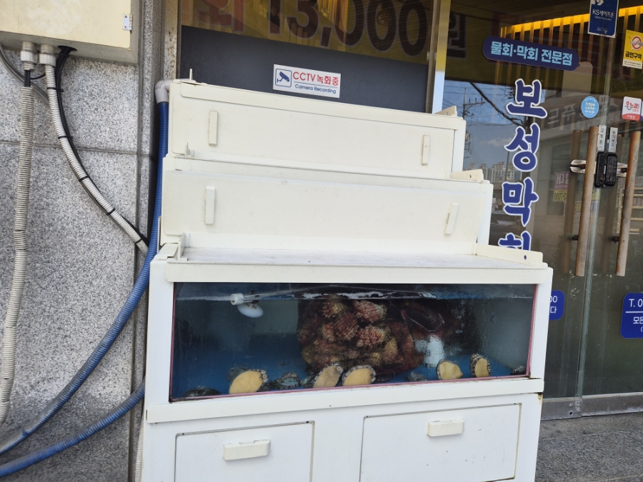 보성막회 사진 2