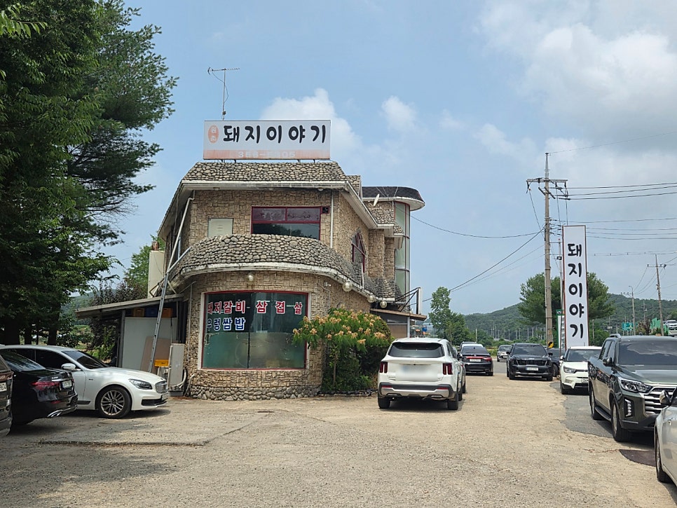 돼지이야기 사진 2