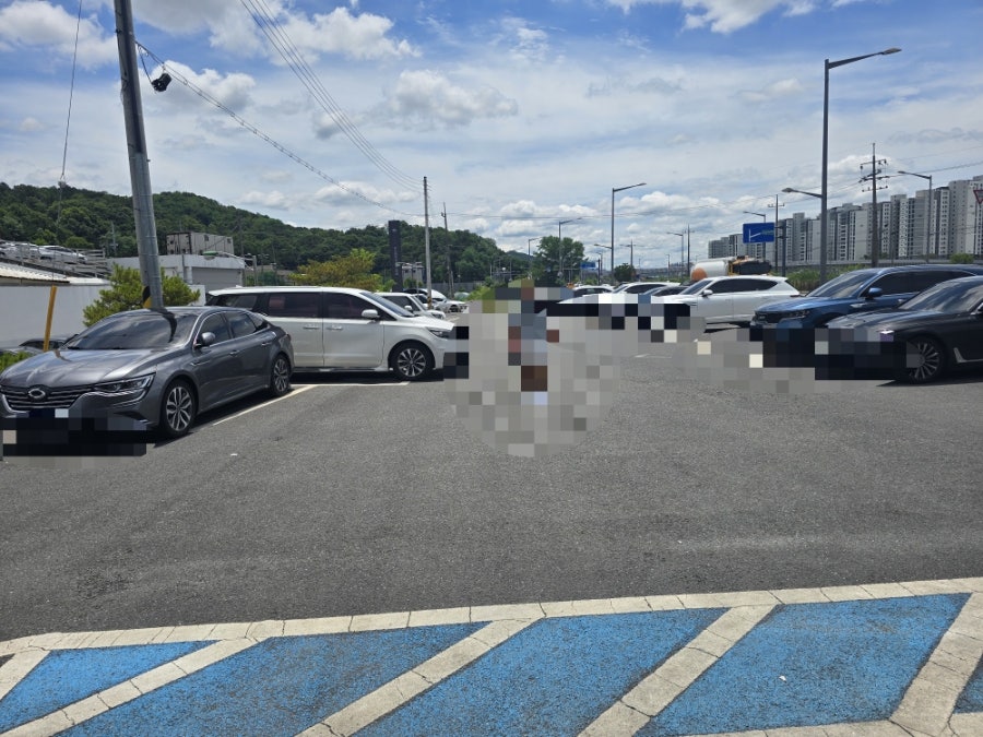 샤브명작 사진 2