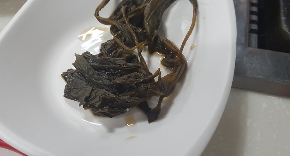 토담 사진 2