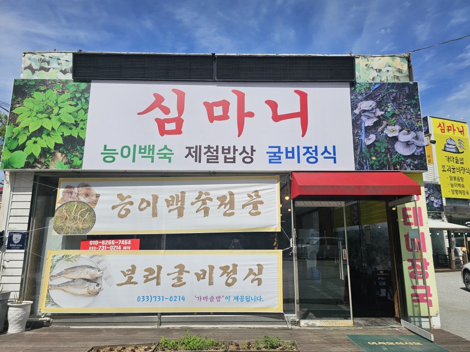 심마니 사진 1