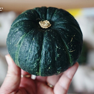 제주미니밤호박 보우짱  제철음식 단호박찜 맛있게 먹기