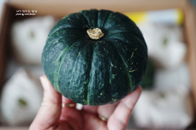 제주미니밤호박 보우짱 제철음식 단호박찜 맛있게 먹기